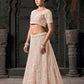 Monjolika Fashion Cream Net Lehenga Choli In Thread Embroidered - Swadesiicart