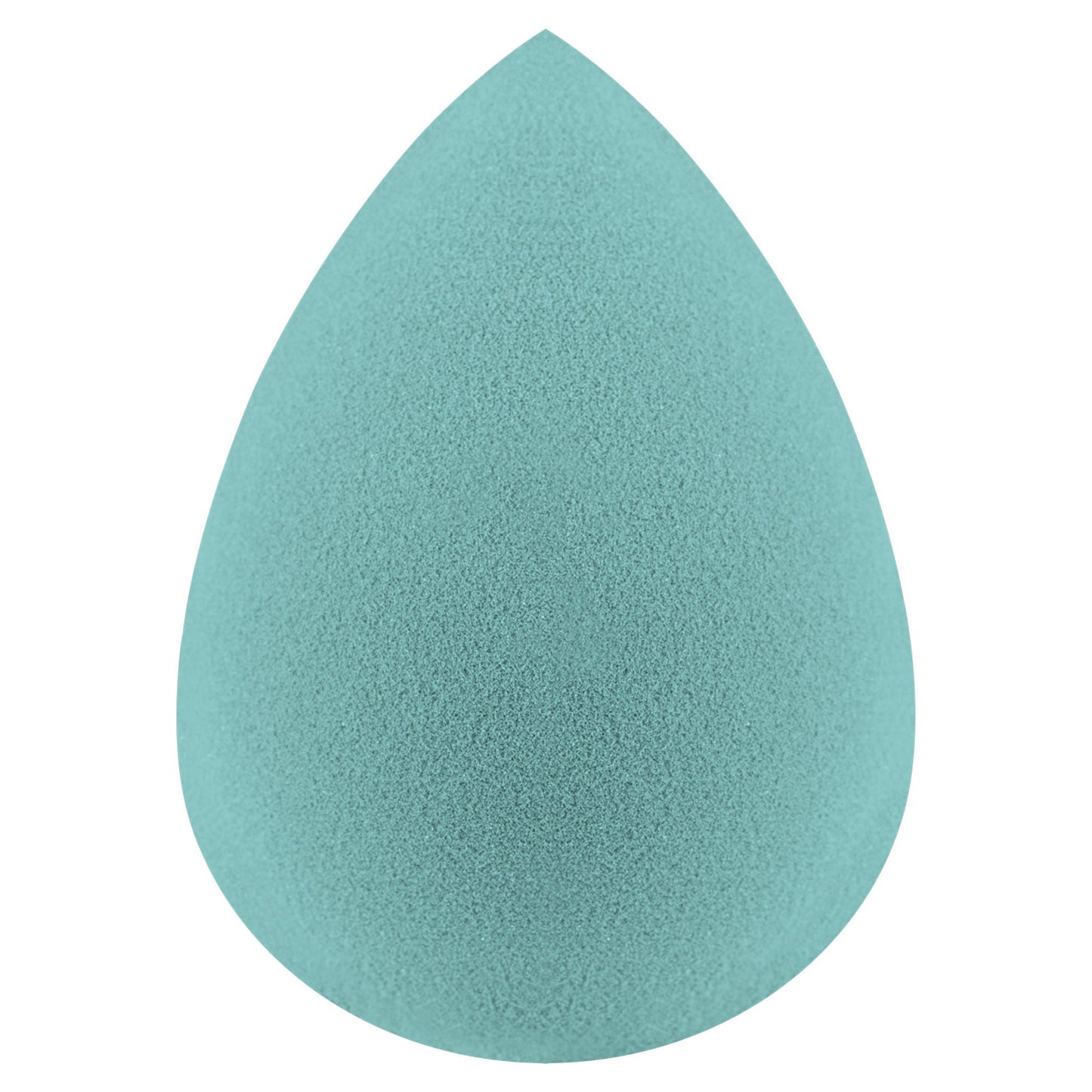 Miss Claire Beauty Blender - Arctic | Swadesiicart
