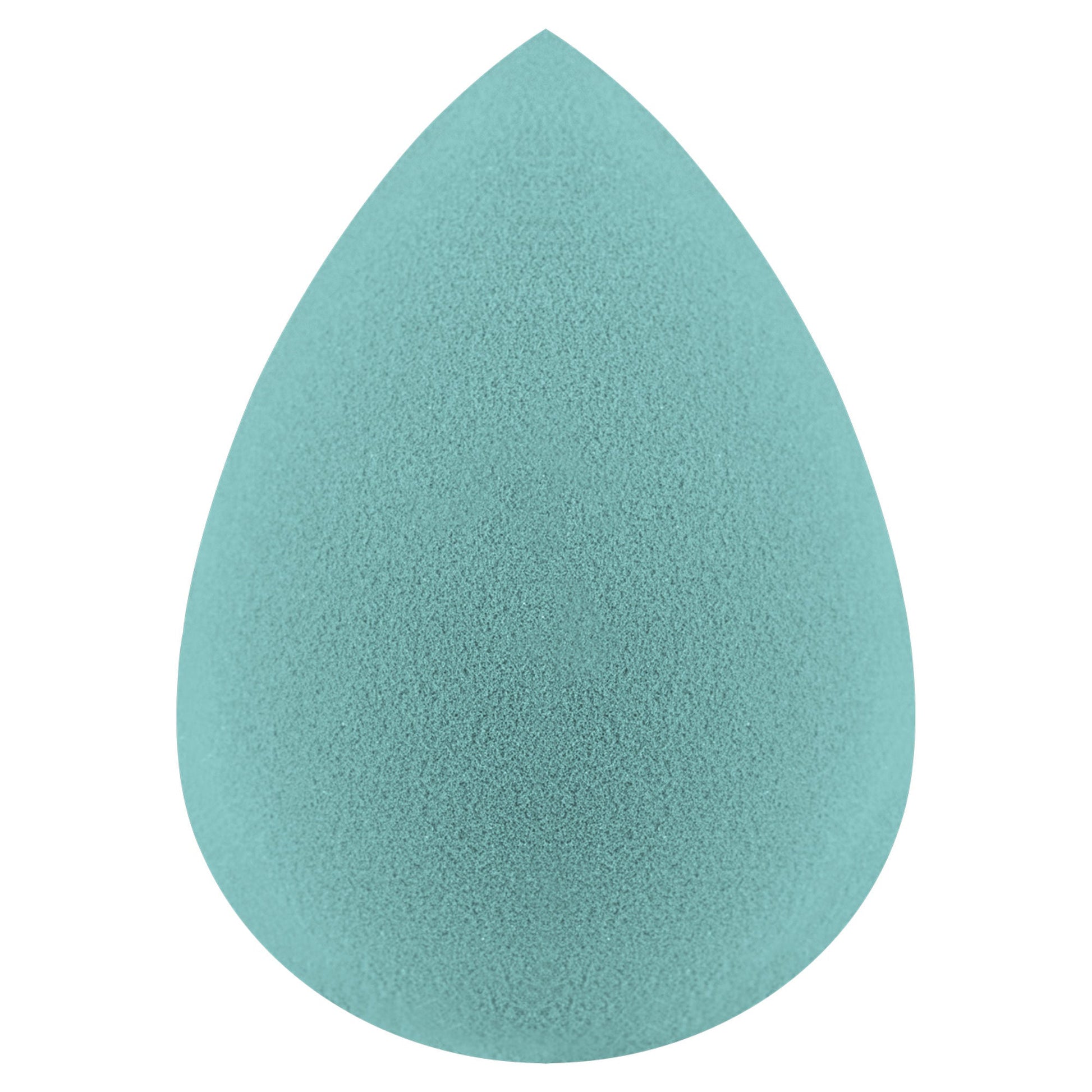 Miss Claire Beauty Blender - Arctic | Swadesiicart