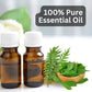 Aroma Treasures Curry Leaf Pure Essential Oil