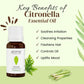 Aroma Treasures Citronella Pure Essential Oil