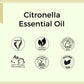 Aroma Treasures Citronella Pure Essential Oil