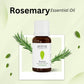 Aroma Treasures Rosemary Pure Essential Oil