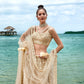 House of Panchhi Cream Net Sequins, Zarkan And Thread Embroidery Lehenga Choli & Dupatta | Swadesiicart