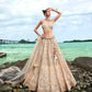 House of Panchhi Cream Net Sequins, Zarkan And Thread Embroidery Lehenga Choli & Dupatta | Swadesiicart