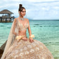 House of Panchhi Cream Net Sequins, Zarkan And Thread Embroidery Lehenga Choli & Dupatta | Swadesiicart