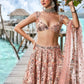 House of Panchhi Peach Organza Sequins, Moti And Thread Embroidery Lehenga Choli & Dupatta | Swadesiicart