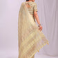 Shree Shyam Fashion Organza Gold Saree