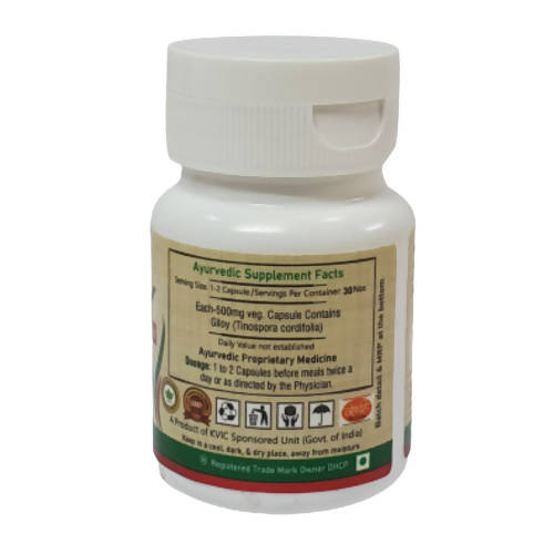 Deep Ayurveda Giloy 500mg Veg Capsules - Swadesiicart