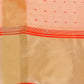 Shree Shyam Fashion Florance Peach Organza Saree
