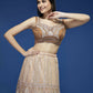 House of Panchhi Rust Net Gotapatti Work Lehenga & Blouse with Dupatta | Swadesiicart