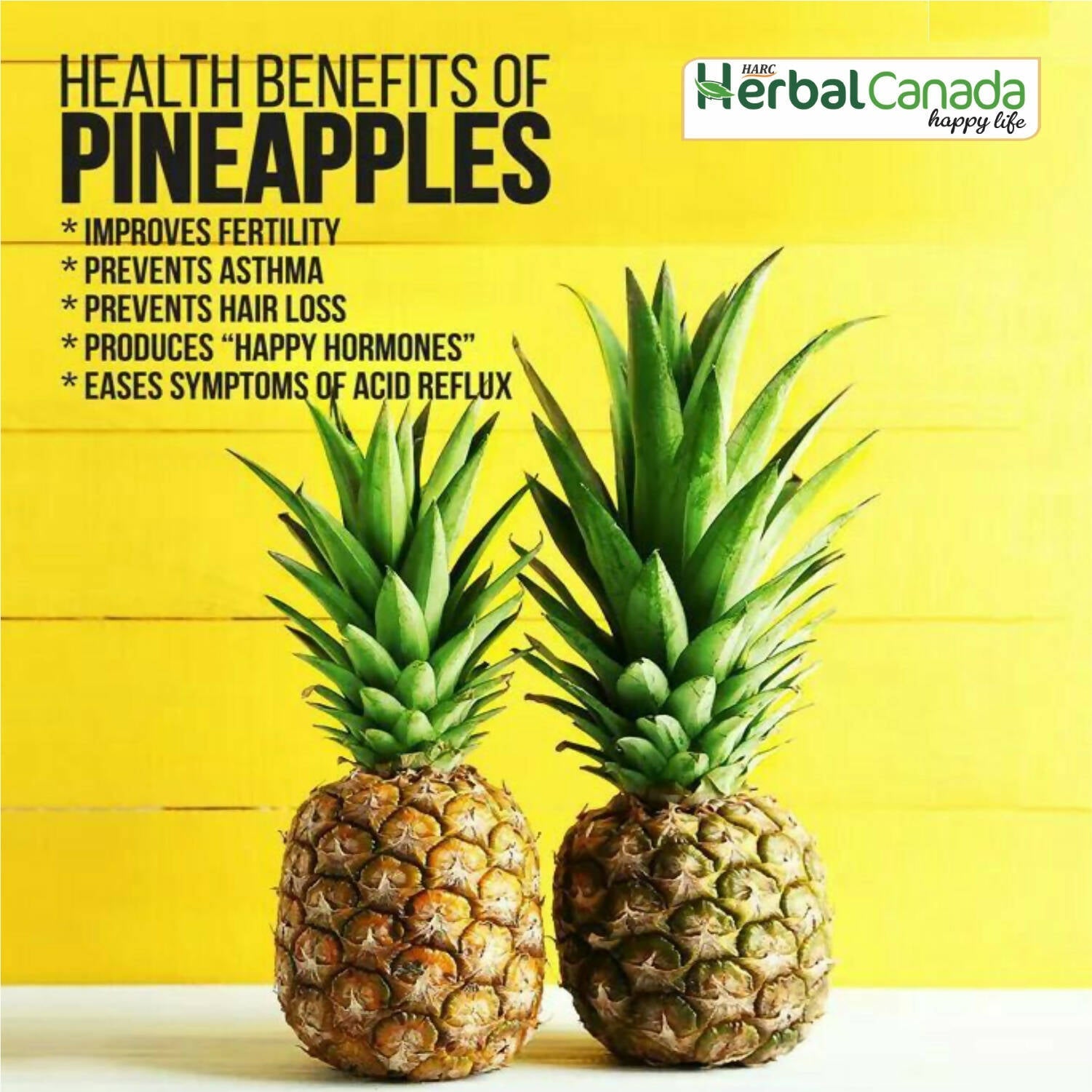 Herbal Canada Pipeapple Vinegar - Swadesiicart