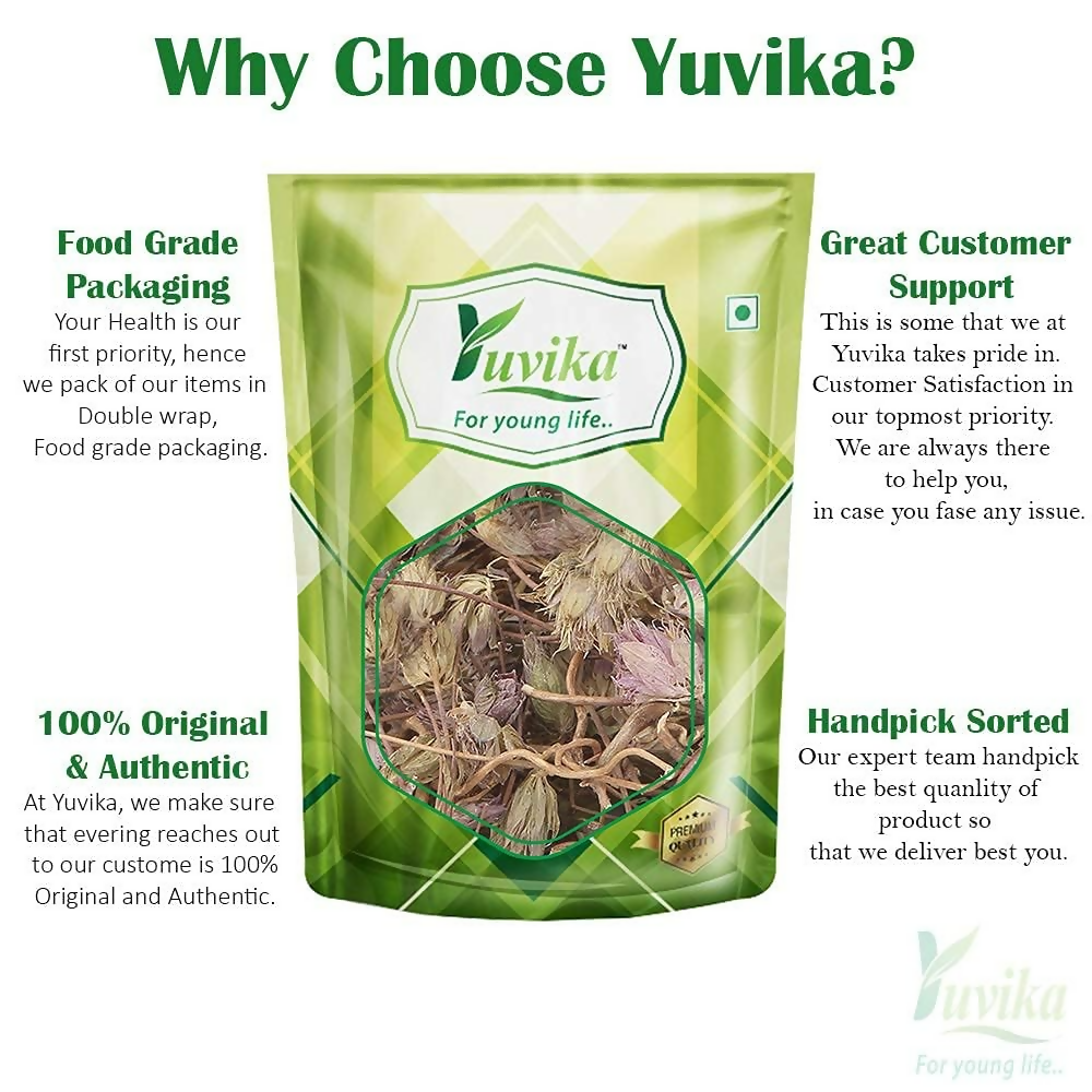 Yuvika Jufa - Zufa - Hyssopus Officinalis Linn - Hyssop - Issopo - Holy Herb | Swadesiicart
