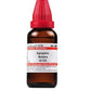 Dr. Willmar Schwabe India Agraphis Nutans Dilution | Swadesiicart