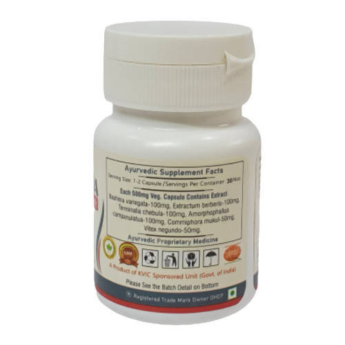 Deep Ayurveda Arshsudha 500mg Vegan Capsules - Swadesiicart