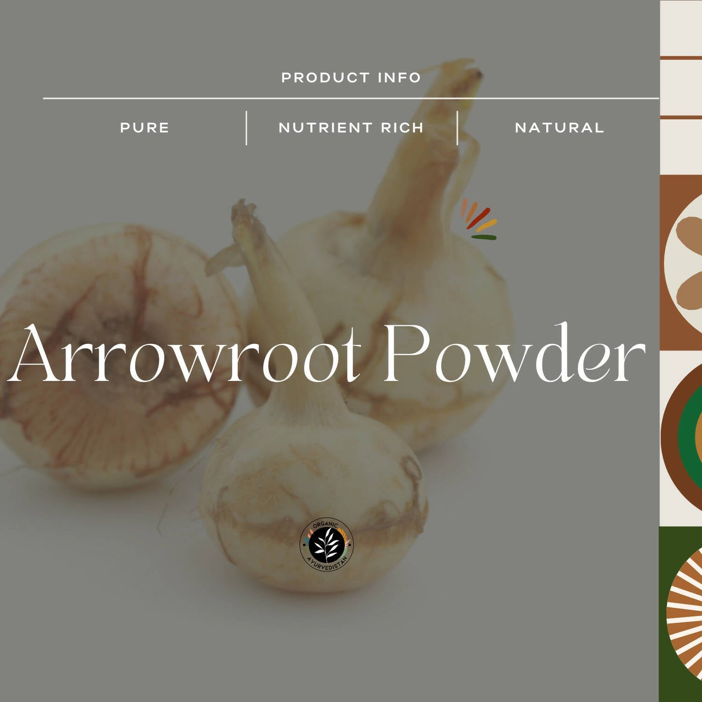 Organic Ayurvedistan Arrow Root Powder - Swadesiicart