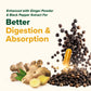Turmeric Ginger with 1500mg Curcuminoids