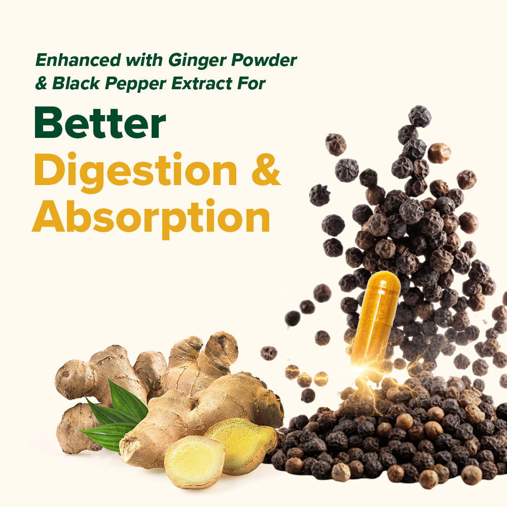 Turmeric Ginger with 1500mg Curcuminoids