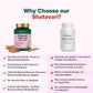Shatavari 1000mg High Strength