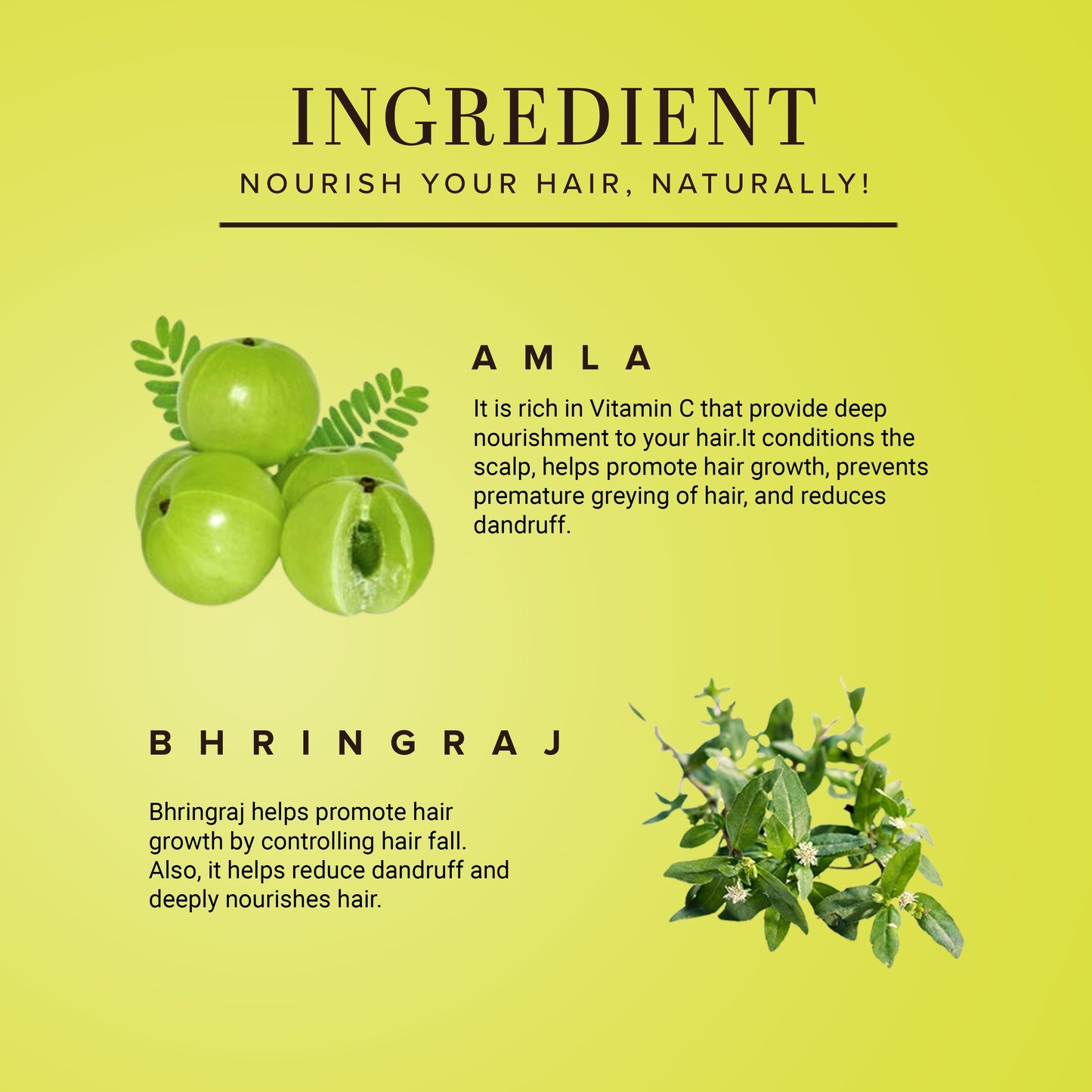 Khadi Natural Amla & Bhringraj Hair Conditioner - Paraben, Silicones, Sulphate, Color, Salt & Artificial Fragrance Free - 310ml