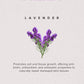 Khadi Natural Lavender Moisturizer with Sheabutter - Paraben Free - 210ml Sale
