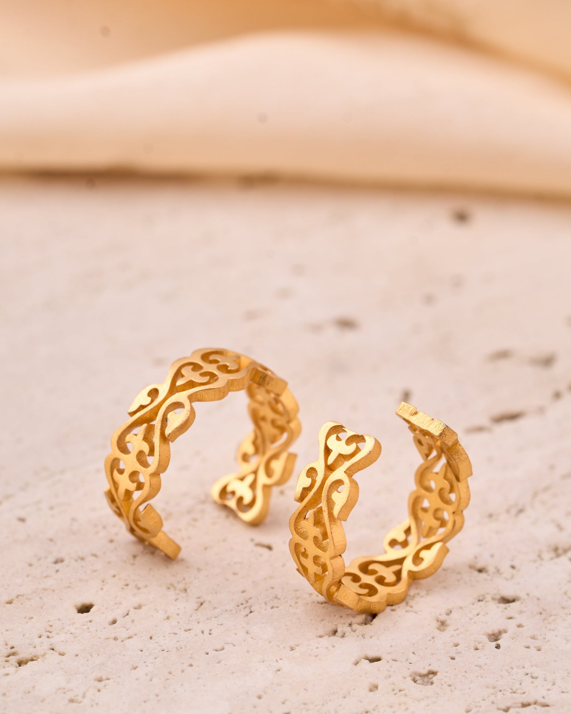 trueBrowns Gold-Polished Hoop Earrings | Swadesiicart