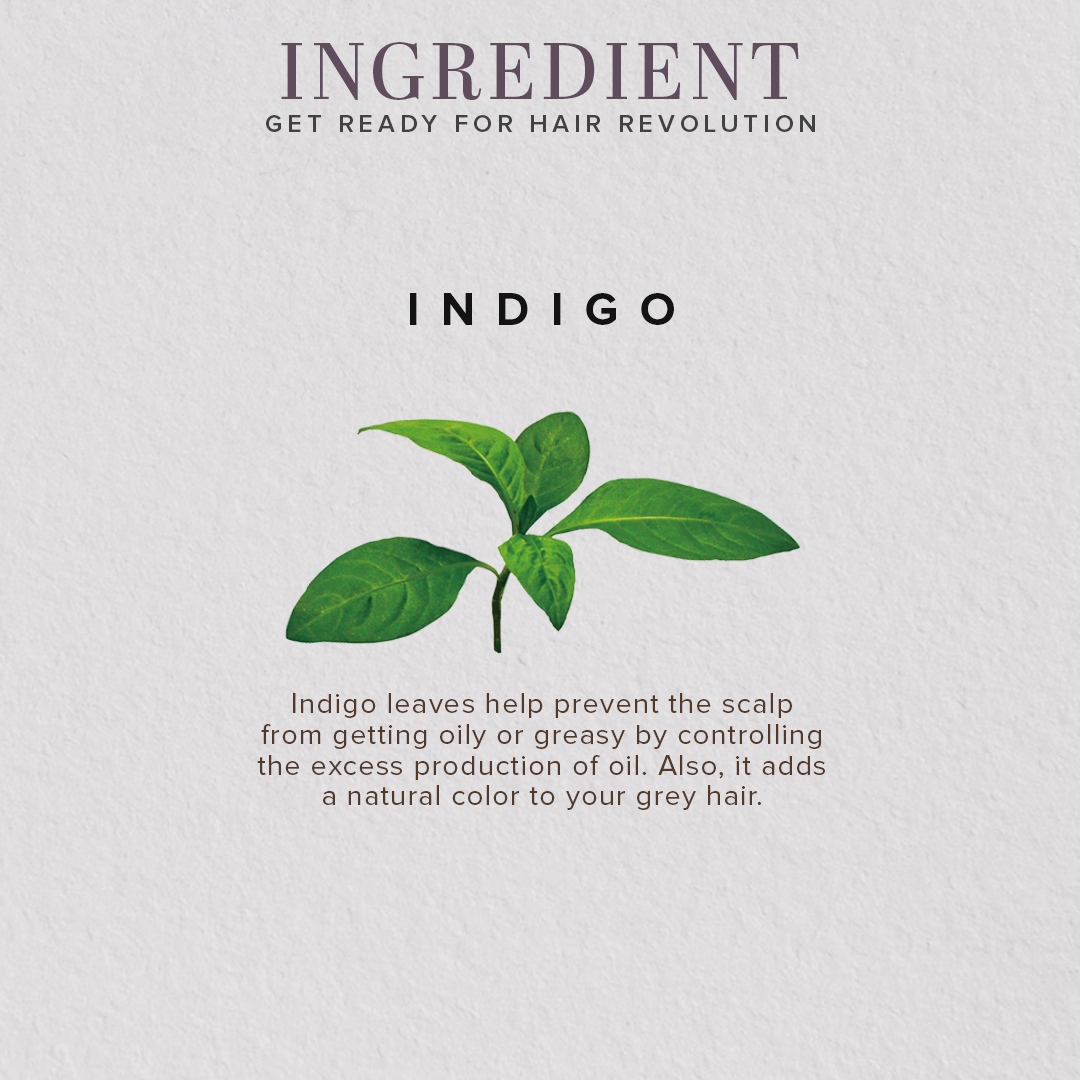 Khadi Natural Organic Indigo Leaf Hair Color Powder - 100% Natural - 100gm
