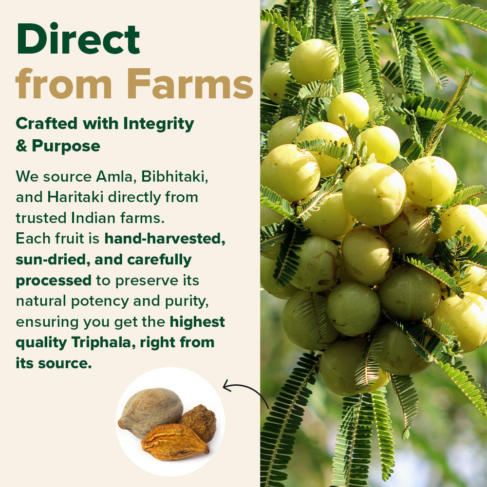 Triphala High Strength with Amla, Bibhitaki, Haritaki Extract