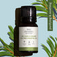 100% Pure & Organic Tea Tree Essential Oil