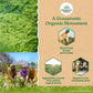 Wheatgrass Powder