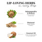 Herb Enriched Matte Liquid Lipstick Kit- Set of 5