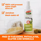 Palmer's Olive Oil Formula Leave-In Conditioner - Swadesiicart