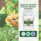 Satya Pharmaceuticals Ayurveda Immu Plus Capsules | Swadesiicart