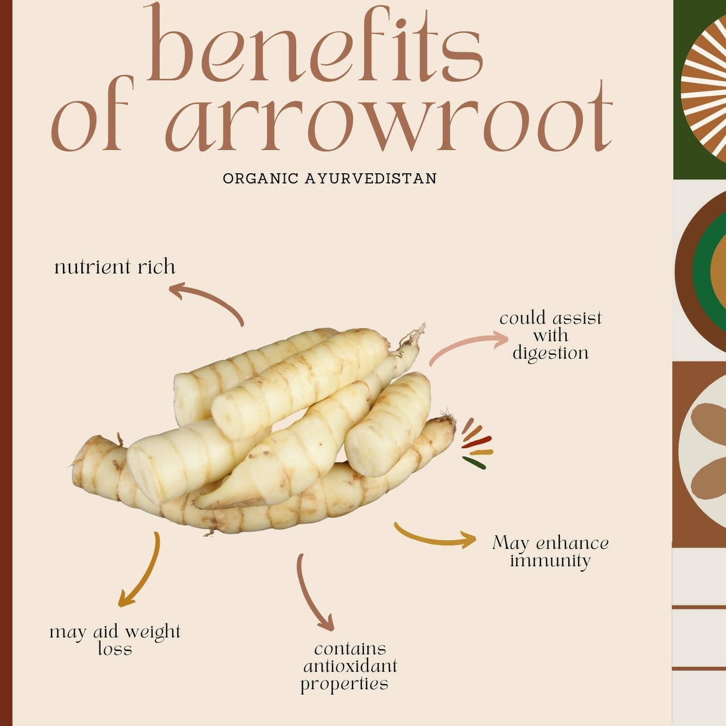 Organic Ayurvedistan Arrow Root Powder - Swadesiicart