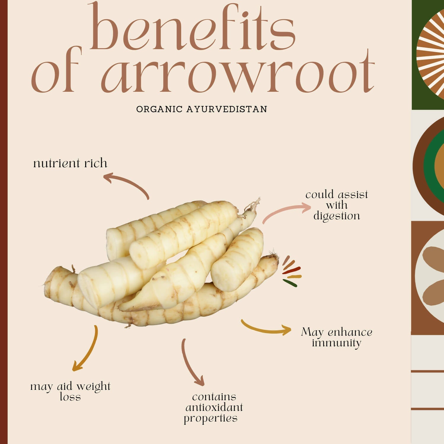 Organic Ayurvedistan Arrow Root Powder - Swadesiicart