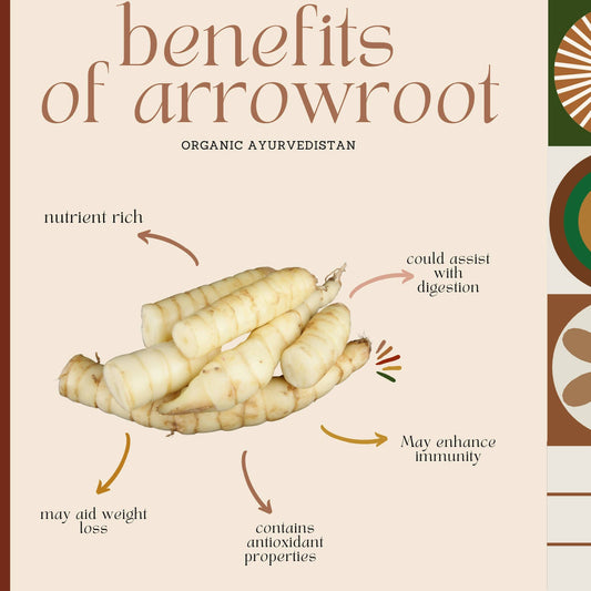 Organic Ayurvedistan Arrow Root Powder - Swadesiicart