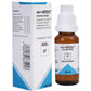 Adel Homeopathy 87 Apo-Infekt Drop - Swadesiicart