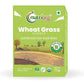 Nutriorg Certified Organic Wheatgrass Powder - Altcheeni