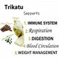 Himalaya Wellness Pure Herbs Trikatu Digestive Wellness - Swadesiicart