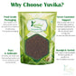 Yuvika Beej Tulsi Asli | Krishan Tulsi Seeds - Ocimum Sanctum - Basil Seeds | Swadesiicart
