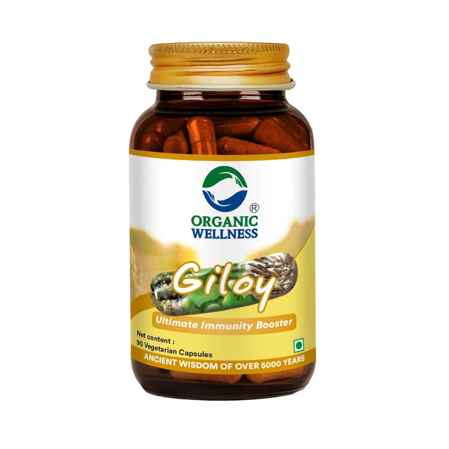 Organic Wellness Giloy Capsules - Organic Wellness Products Private Limited