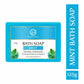 Nuerma Science Mint Bath Soap | For Bacterial Infection & Redness | Swadesiicart