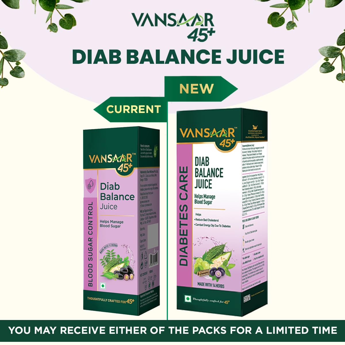 Vansaar 45+ Diab Balance Juice - Swadesiicart