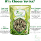 Yuvika Gokhru Chota | Gokhroo Chota - Tribulus Terrestris Seeds - Small Caltrops