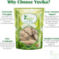 Yuvika Behman Safed - Centaurea Behen Linn - White Behen | Swadesiicart