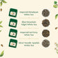 White Teas Gift Sampler, 4 Teas