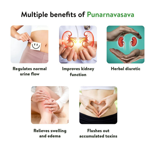 Kerala Ayurveda Punarnavasavam | Swadesiicart