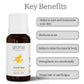 Aroma Treasures Fennel Seed Pure Essential Oil