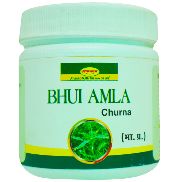 Seva Sadan Bhui Amla Churna | Swadesiicart