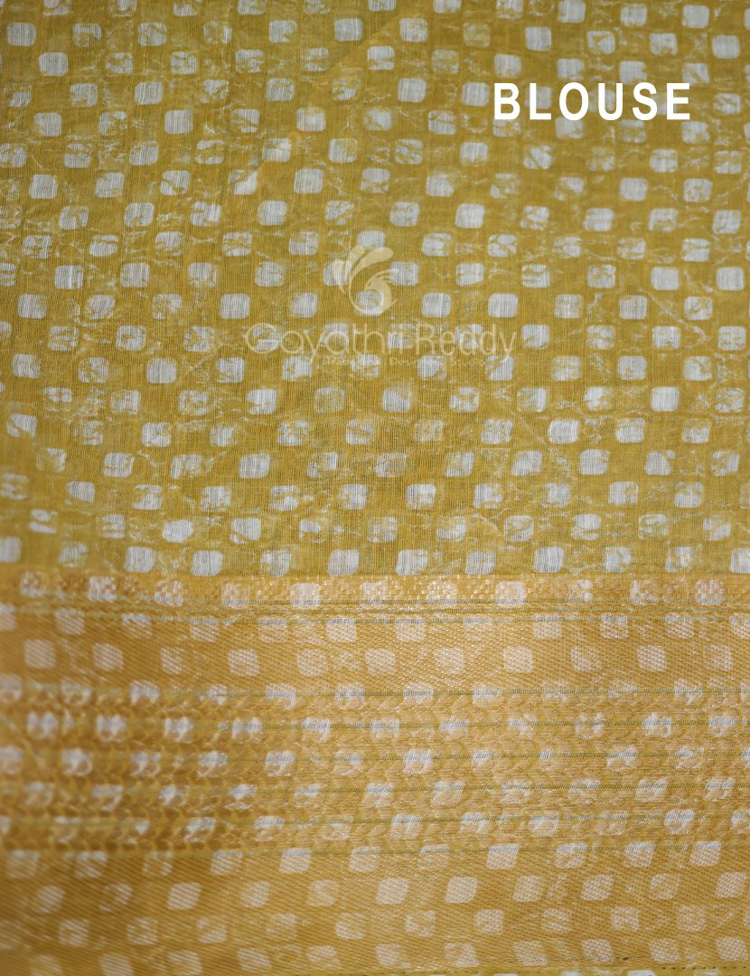 Shades of Light Khaki With Floral Print Semi Chanderi Saree By Gayathri Reddy Designer Studio | Swadesiicart